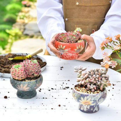 Sungmor Beautiful Handicrafts Ceramic Planters - Succulent Flower Pots with Drainage - Pretty Desktop Windowsill Landscape Flowerpot - Home & Office Decor Pots